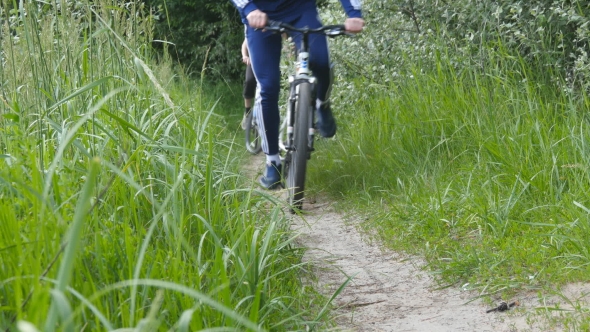 Two Guy Riding a Bike On a Forest Path. 