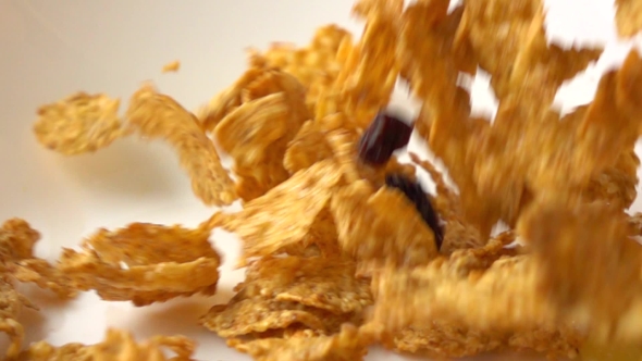 Golden Corn Flakes Scattering On White Plate 