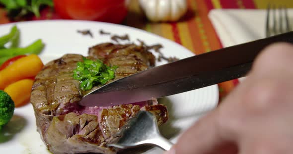 Hand Cut Roasted Filet Mignon And Vegetables 35b