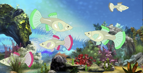 Aquarium Fish UHD