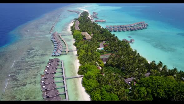 Aerial top down travel of beautiful coast beach wildlife by clear water with bright sand background 