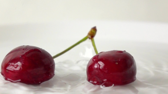 Two Cherries With Same Stem Hitting Wet White Plate