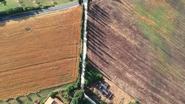 Straight long dirt road in cultivated fields, topdown drone aerial