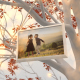 Memory Tree Slideshow - VideoHive Item for Sale