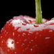 Cherry with Water Drops - VideoHive Item for Sale