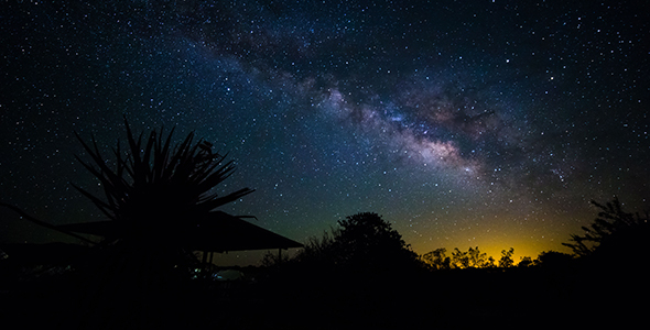 Joshua Tree Milky Way