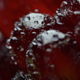 Pomegranate and Water Drops - VideoHive Item for Sale