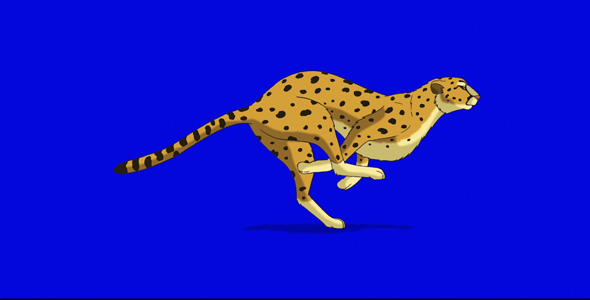 Running Cheetah