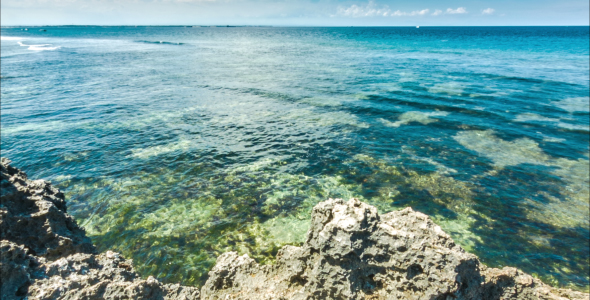 Ocean Waves With Rocks Shore