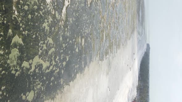 Zanzibar Tanzania  Vertical Video of Low Tide in the Ocean Near the Coast Slow Motion