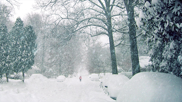 Person Walks On Road In Blizzard alt