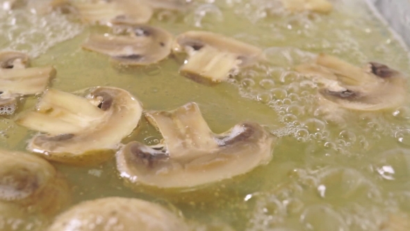 Boiling Field Mushrooms