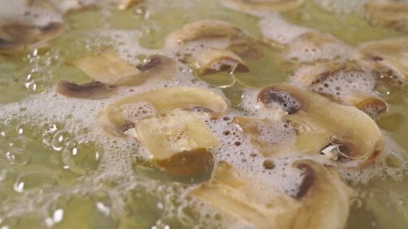 Field Mushrooms in Boiling Water With Oil