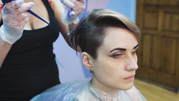 Stylist In a Beauty Studio Does Hair Dye. She Decided To Cardinally Change Its Image
