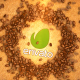 Coffee Beans Logo - VideoHive Item for Sale