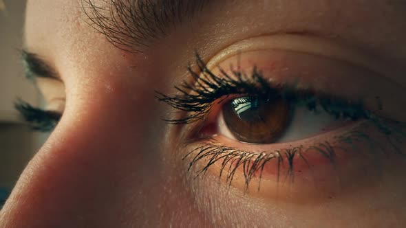 Macro Shot of Woman's Eye