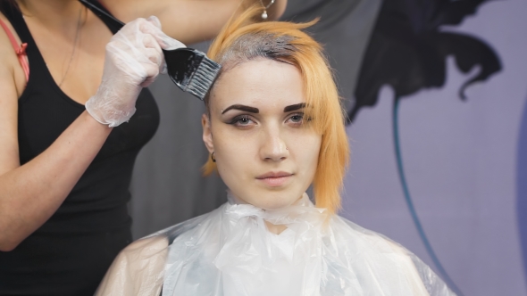 Stylist Beauty Studio Causes The Paint To Hair To Locks Of Blonde.