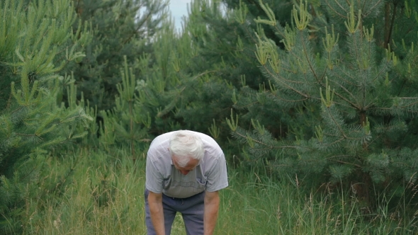 Old Man Does Swing Arms In Park