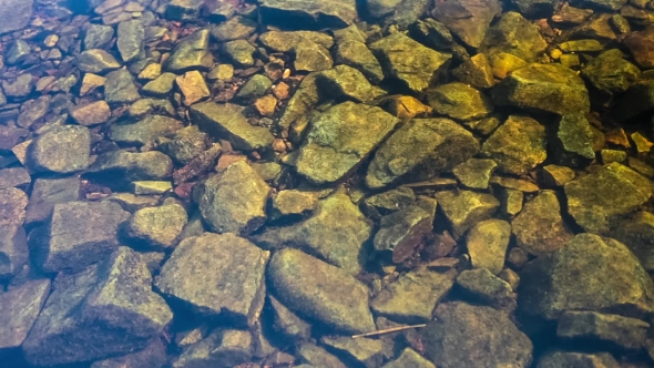 Clean River Water. Stones.