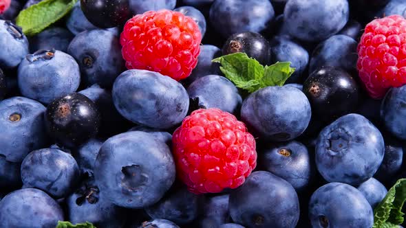 Berries Various Colorful Background Juicy Ripe Summer Berries