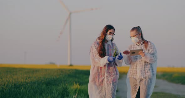 Two Agronomists Examining Crops in Field Agriculture