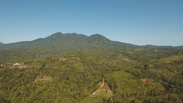 Mountain Landscape with Farmlands, Bali, Indonesia