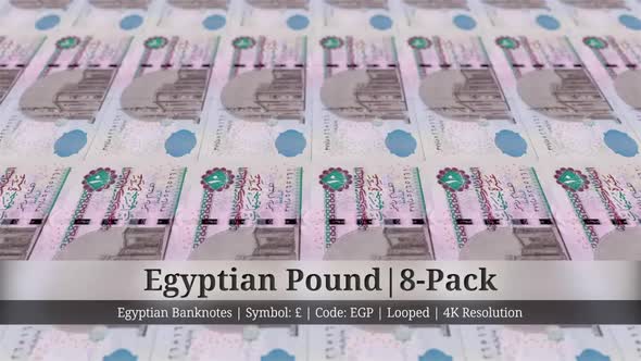 Egyptian Pound | Egypt Currency - 8 Pack | 4K Resolution | Looped