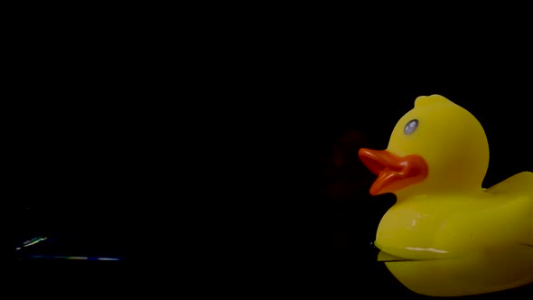 Rubber Duck Float on the Surface of the Water on a Black Background