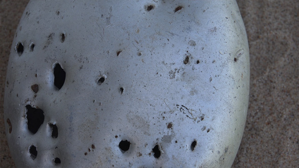 Shells and Bullets Holes in the Watter Canteen