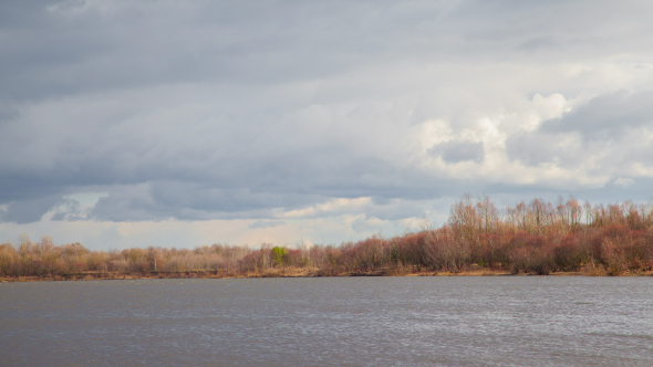 Rain Clouds in Forest