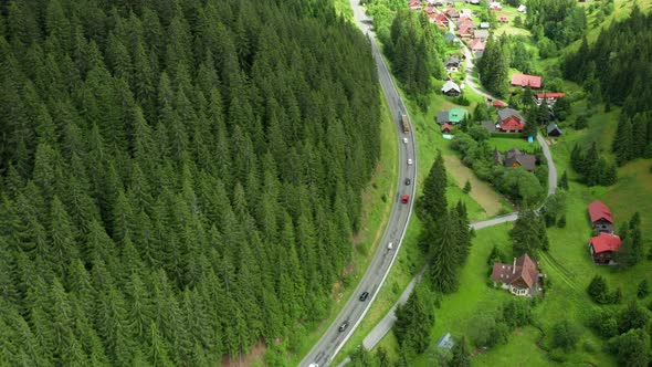 Mountain Road or Curved Serpentine in the Forest with Cars Traffic and High Green Trees