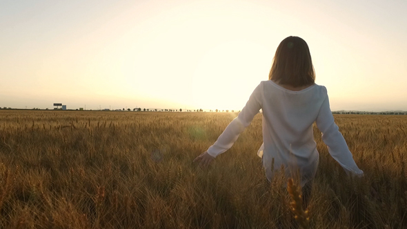 Woman Walking in Wheat Field