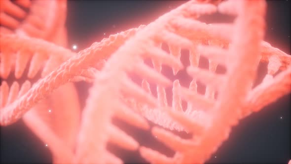 Double Helical Structure of Dna Strand Close-up  alt