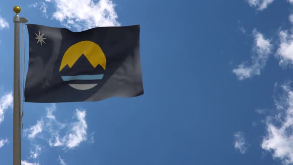 Reno City Flag Nevada (Usa) On Flagpole