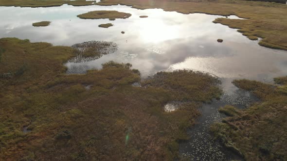 Flying over beautiful swamp spotting a huge bird flying in circles.