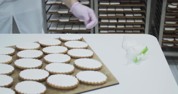 Bakery Worker is Putting Gingerbread Cookies on the Shelf After Putting Icing