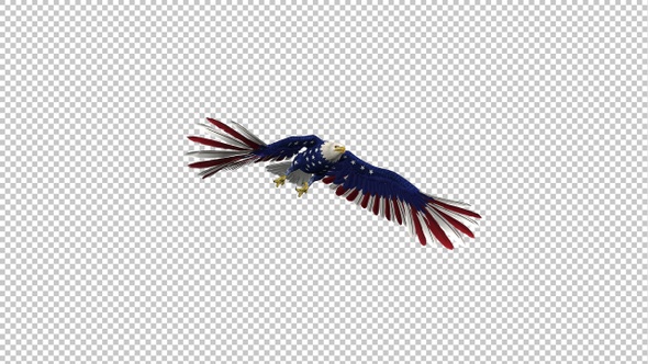 American Eagle - USA Flag - Flying Transition - II - 4K