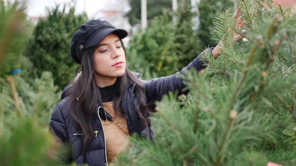 A hispanic woman shopping for a seasonal holiday Christmas tree on a lot with many species of festiv