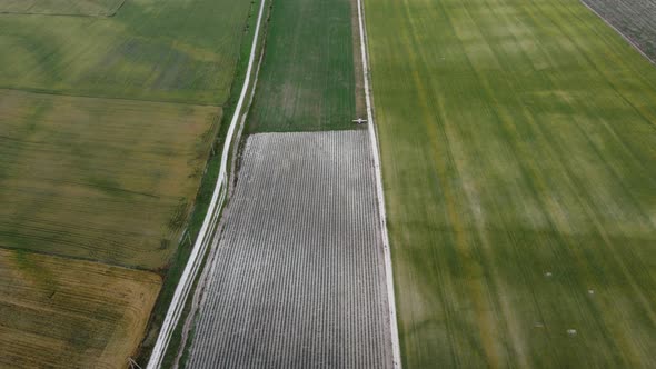 Aerial View on Green Wheat Field in Countryside