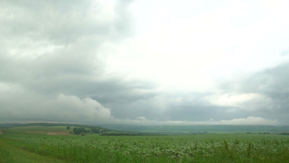 Summer Green Field With Low Clouds alt