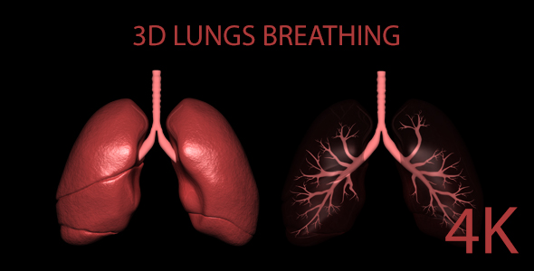 3D Lungs Breathing alt