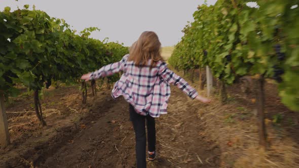 Rear View of a Happy Little Girl Running Through Rows of Vines