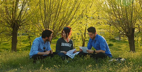 Students Studying In The Park