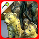 Vine Cheetahs - 3DOcean Item for Sale