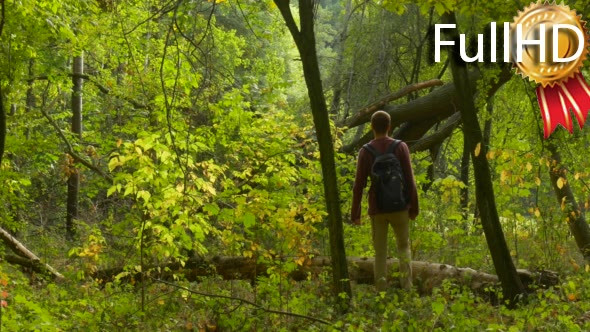 Man With Backpack Comes to the Old Forest