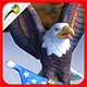Soaring Eagle 3 - 3DOcean Item for Sale