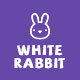 White Rabbit - Kids Toys & Children Clothing Store - ThemeForest Item for Sale