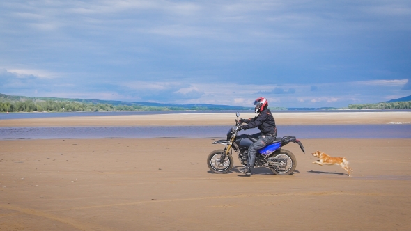 Motorcyclist Rides On The Sandy Beach, Running Behind Him Cute And Funny Dog.