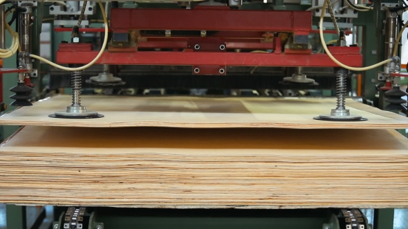 Gluing and Pressing of Plywood