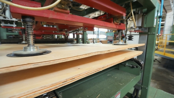 Plywood Industrial Production